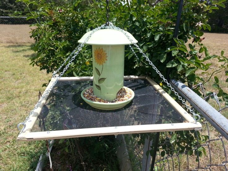 How To Make A Bird Seed Catcher Traynull
