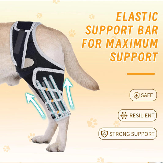 Professional Dog ACL/CCL Knee Brace with 6-Metal Stabilizers