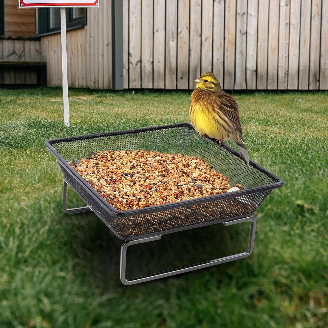 The Ultimate Guide to Bird Feeder Types: Choosing the Right Station for Your Yard