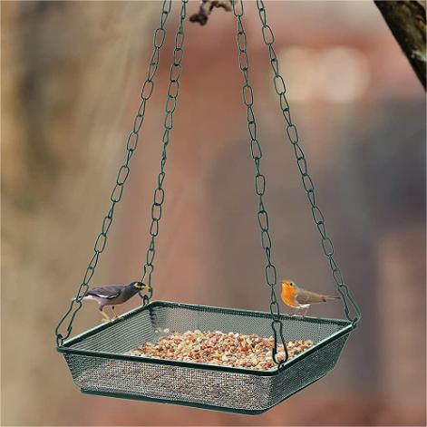 The Coffee Ground Hack: Keep Your Bird Sanctuary Safe and Cat-Free