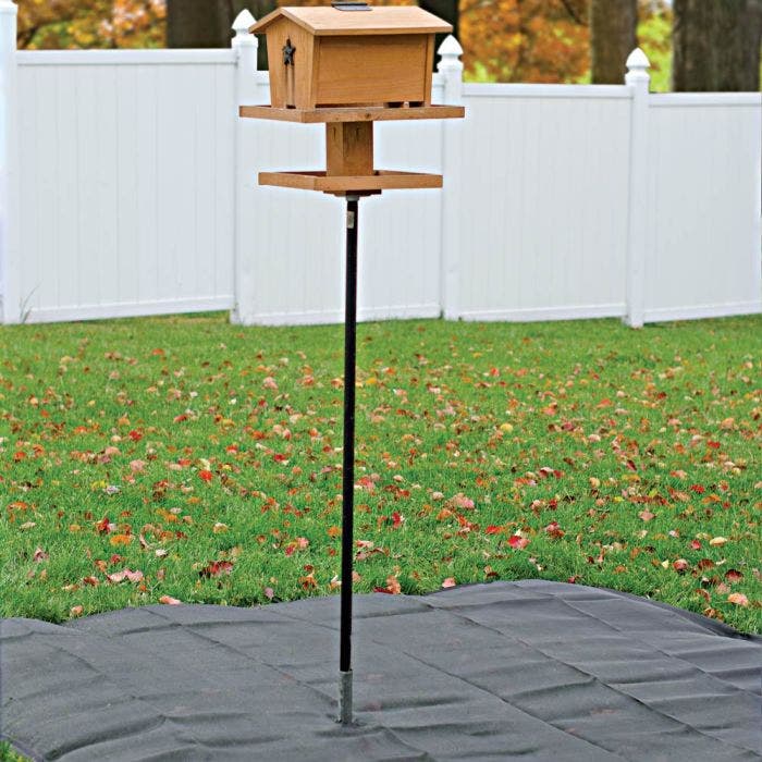 What Can I Use to Catch Bird Seed? Simple Solutions for a Cleaner Yard