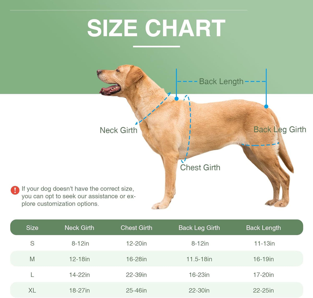 Detailed Size Chart
