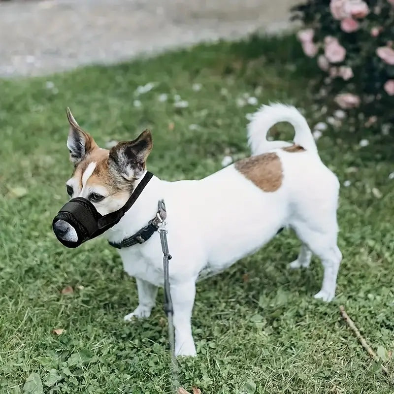 Adjustable Dog Muzzle — Lightweight Safety Muzzle for Vet Visits, Grooming & Scavenging| Allows Panting & Drinking (S–XXL)