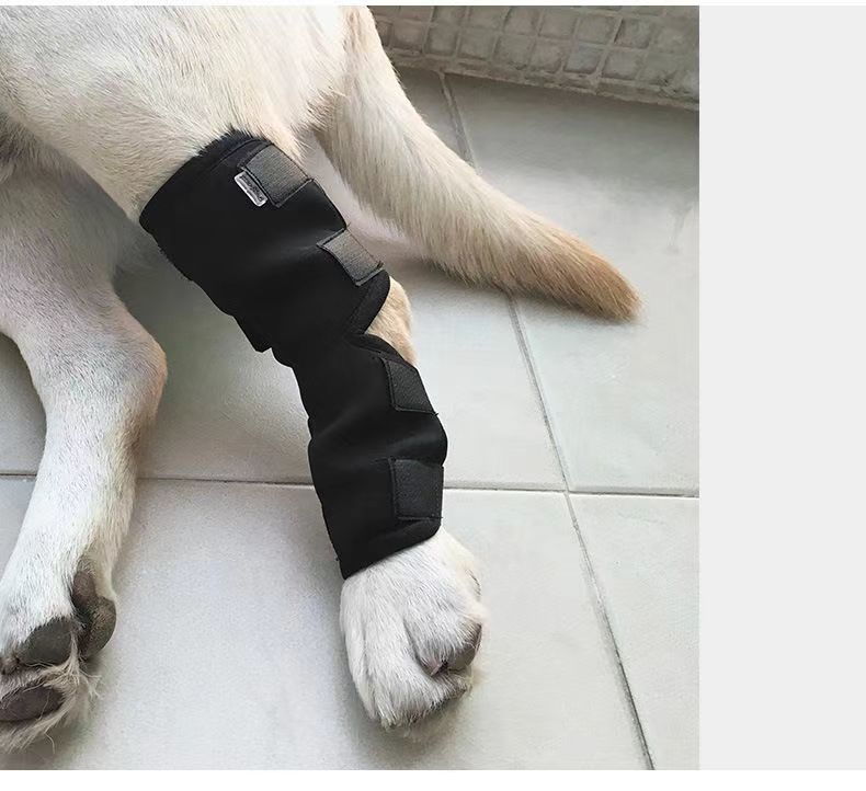 Adjustable Dog Leg Support Brace