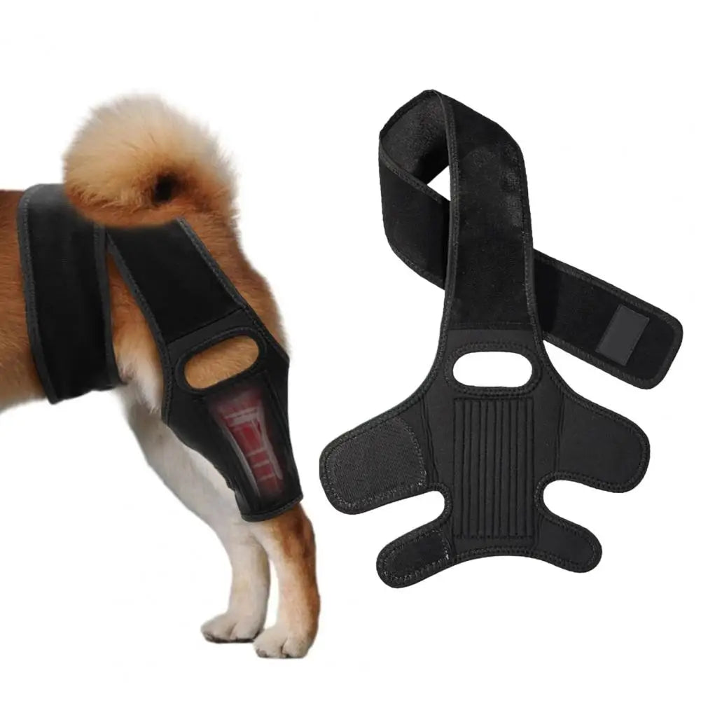 Dog Hip Knee Leg Brace For Rear Legs