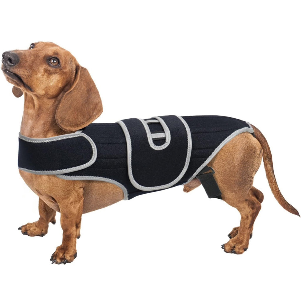 Comfort-Fit Dog Back Support Vest with Integrated Metal Stabilizers