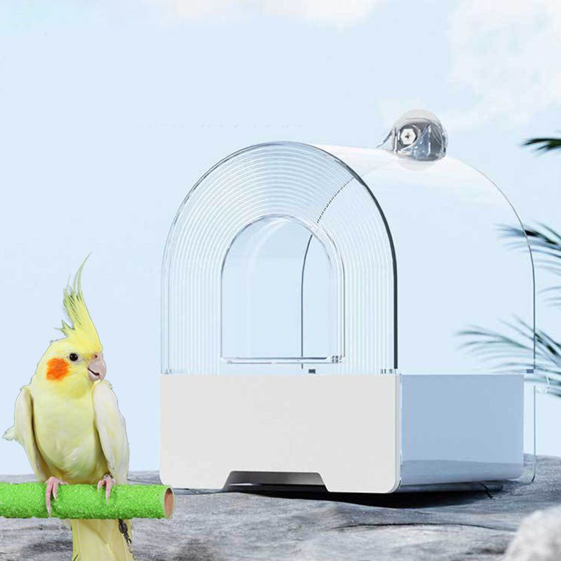 Bird bath for cockatiel