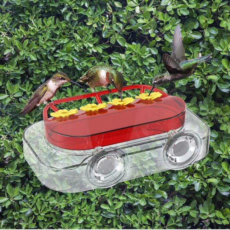 Suction Cup Hummingbird Feeder for Windows