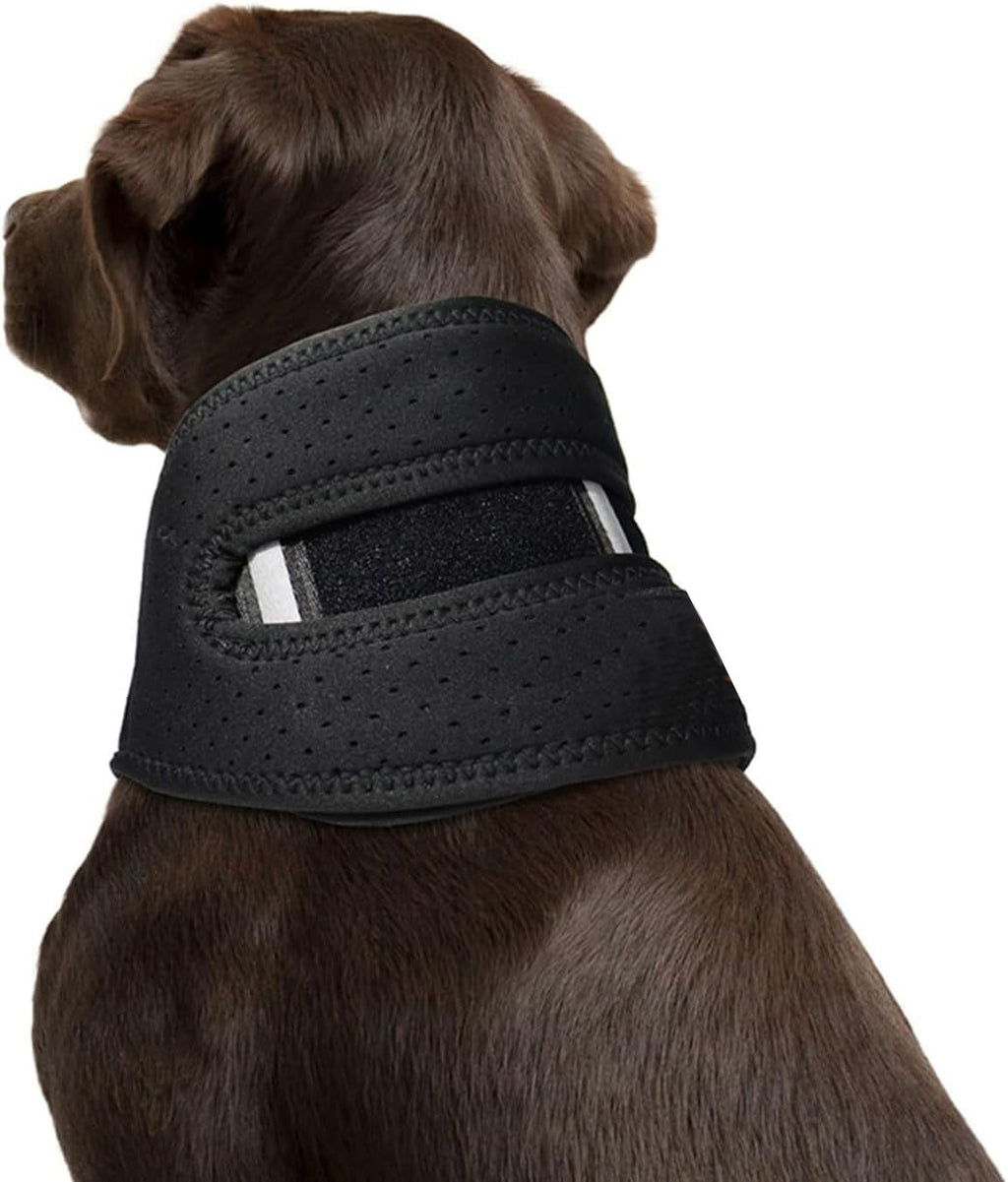 Dog Cervical Collar Neck Brace
