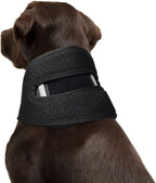 Dog Cervical Collar Neck Brace