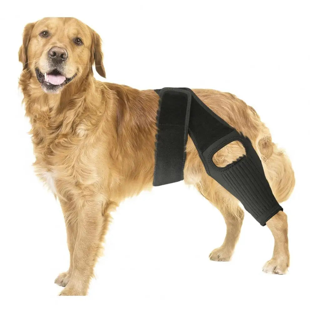 Dog Hip Knee Leg Brace For Rear Legs