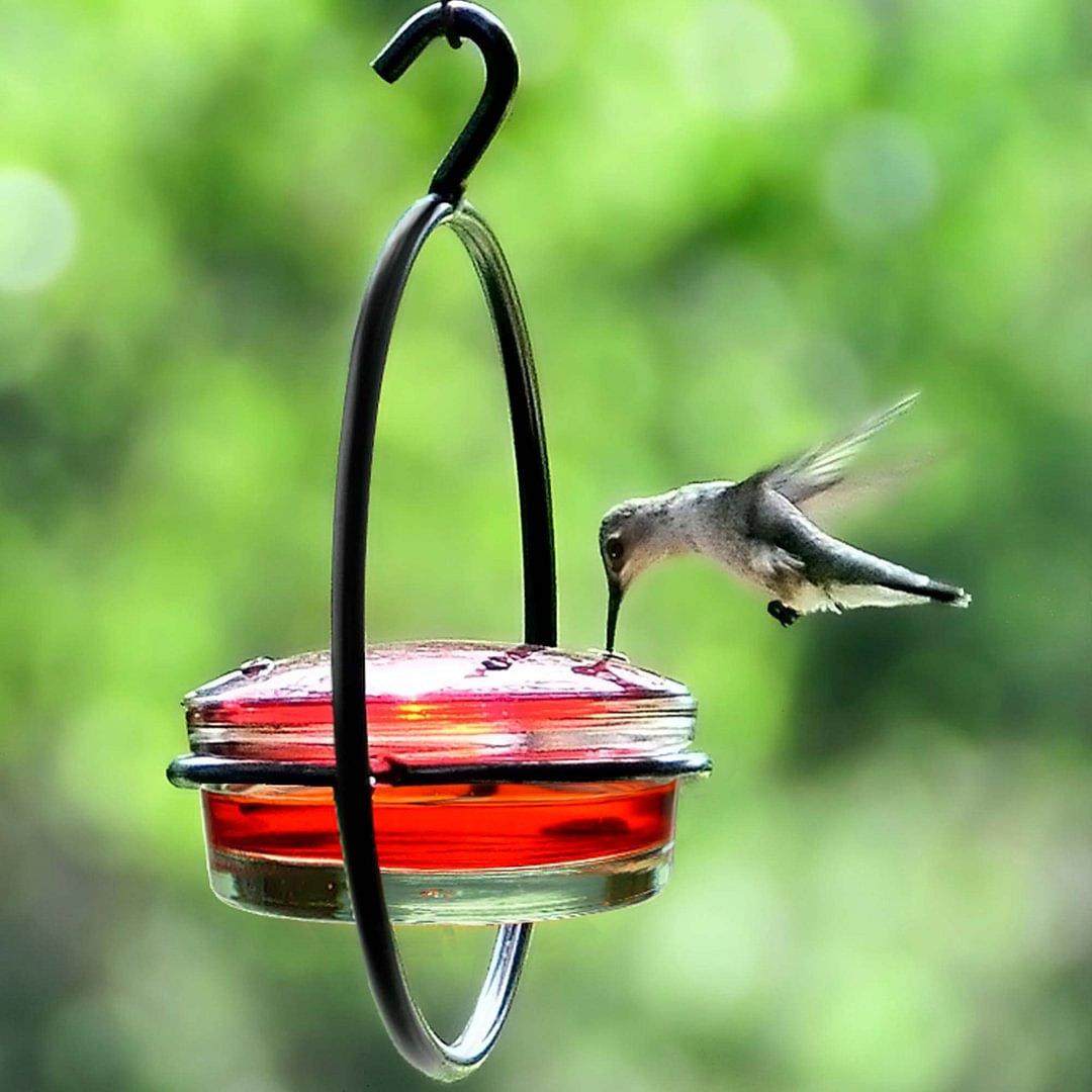 Simple Metal Hummingbird Feeder – Hanging Design