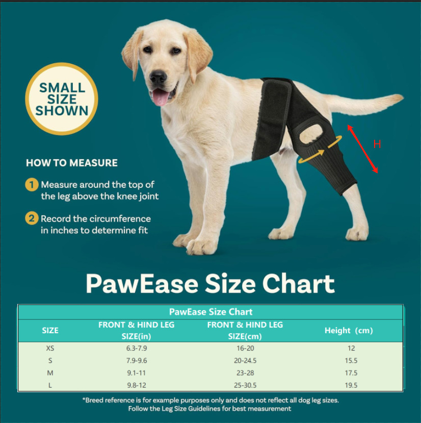 Dog Hip Knee Leg Brace For Rear Legs