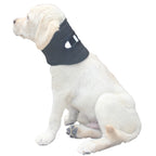 Dog Cervical Collar Neck Brace