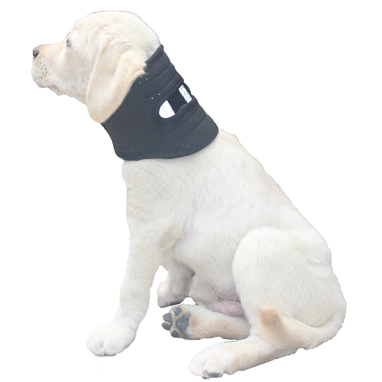 Dog Cervical Collar Neck Brace