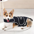 Comfort-Fit Dog Back Support Vest with Integrated Metal Stabilizers