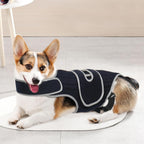 Comfort-Fit Dog Back Support Vest with Integrated Metal Stabilizers