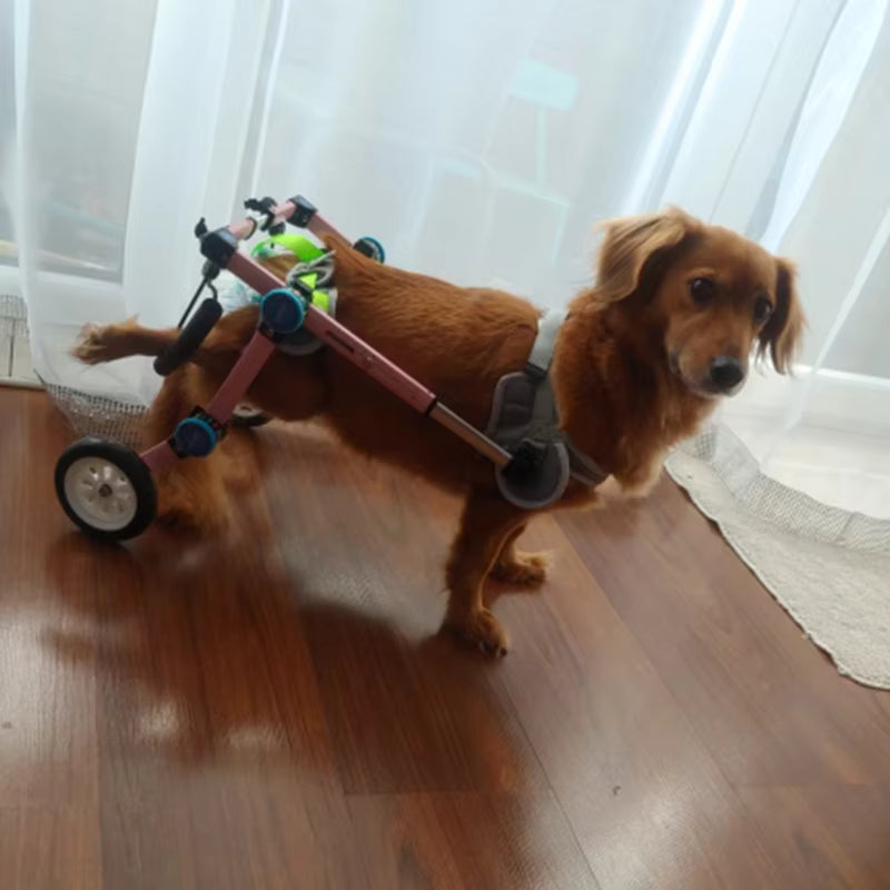 Back Leg Dog Wheelchair