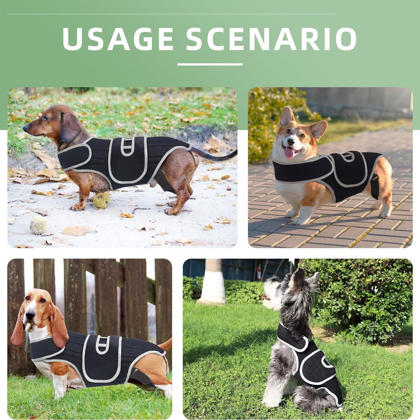 Comfort-Fit Dog Back Support Vest with Integrated Metal Stabilizers