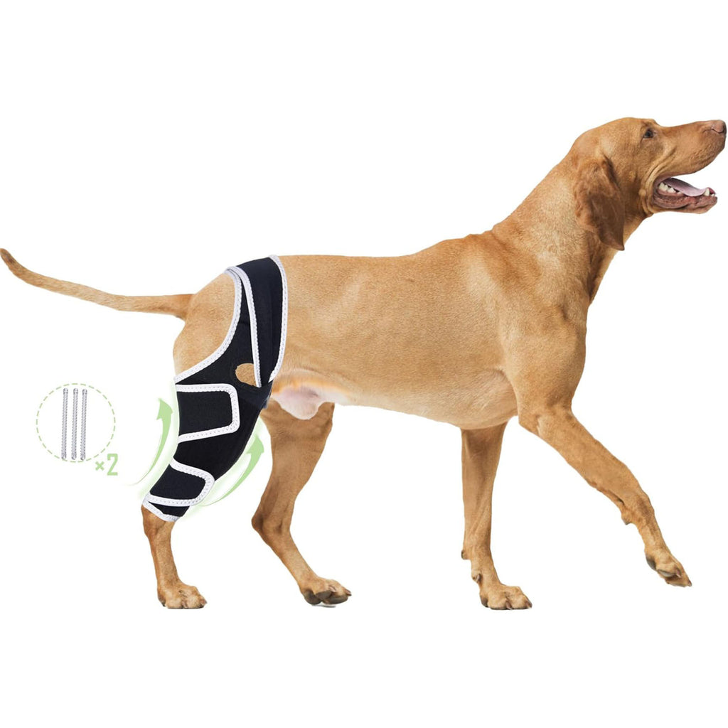 Adjustable Dog ACL Knee Brace