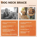 Dog Cervical Collar Neck Brace