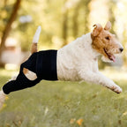 Dog Hip Knee Leg Brace For Rear Legs