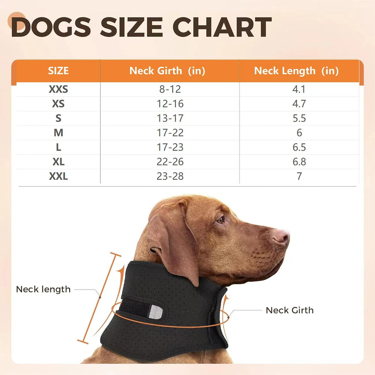 Detailed Size Chart