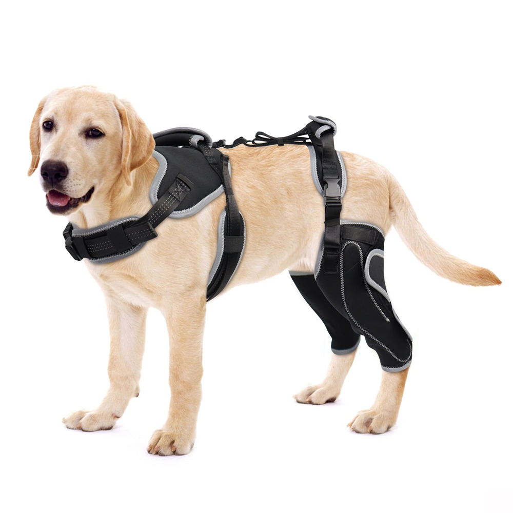 Adjustable Dog ACL Knee Brace – Single/Dual Leg Support