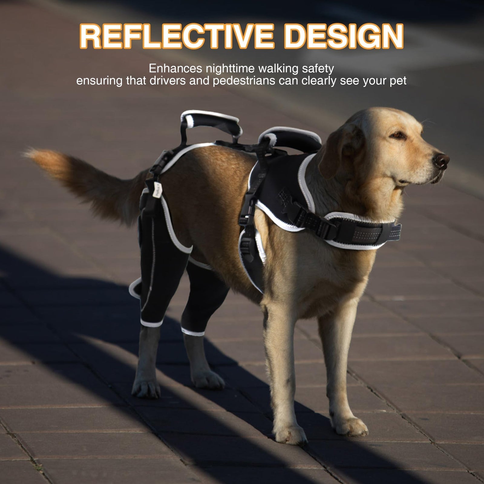 Adjustable Dog ACL Knee Brace – Single/Dual Leg Support