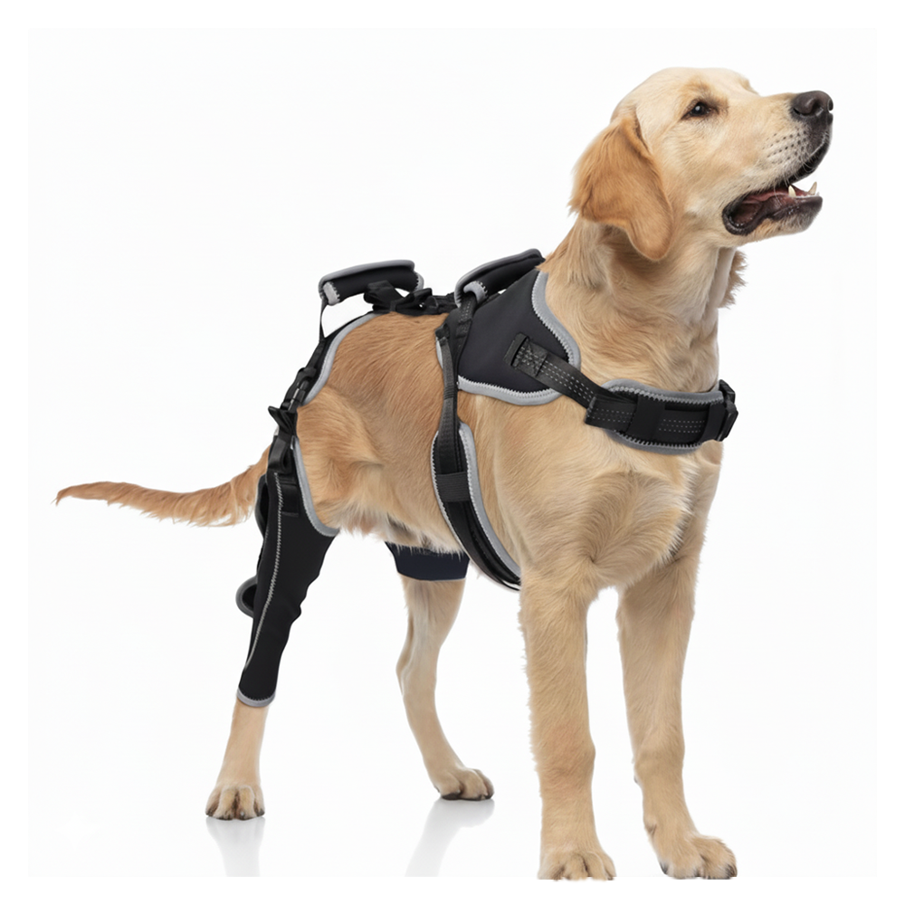 Adjustable Dog ACL Knee Brace – Single/Dual Leg Support