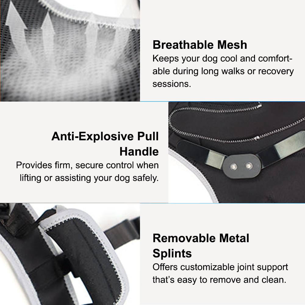 Adjustable Dog ACL Knee Brace – Single/Dual Leg Support