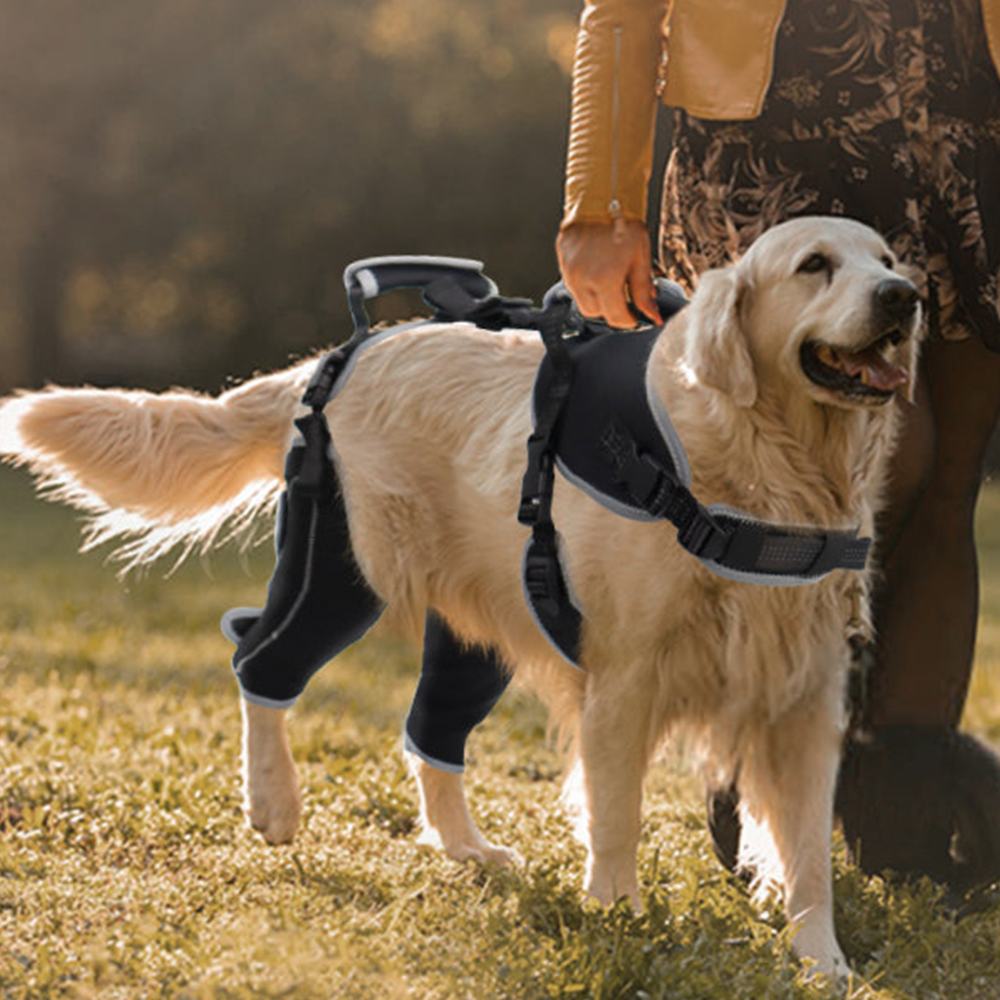 Adjustable Dog ACL Knee Brace – Single/Dual Leg Support