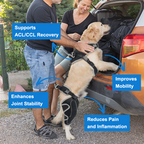 Adjustable Dog ACL Knee Brace – Single/Dual Leg Support