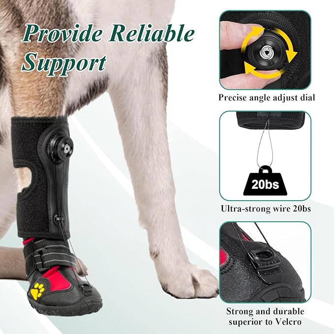 Adjustable Dog Knuckling Brace
