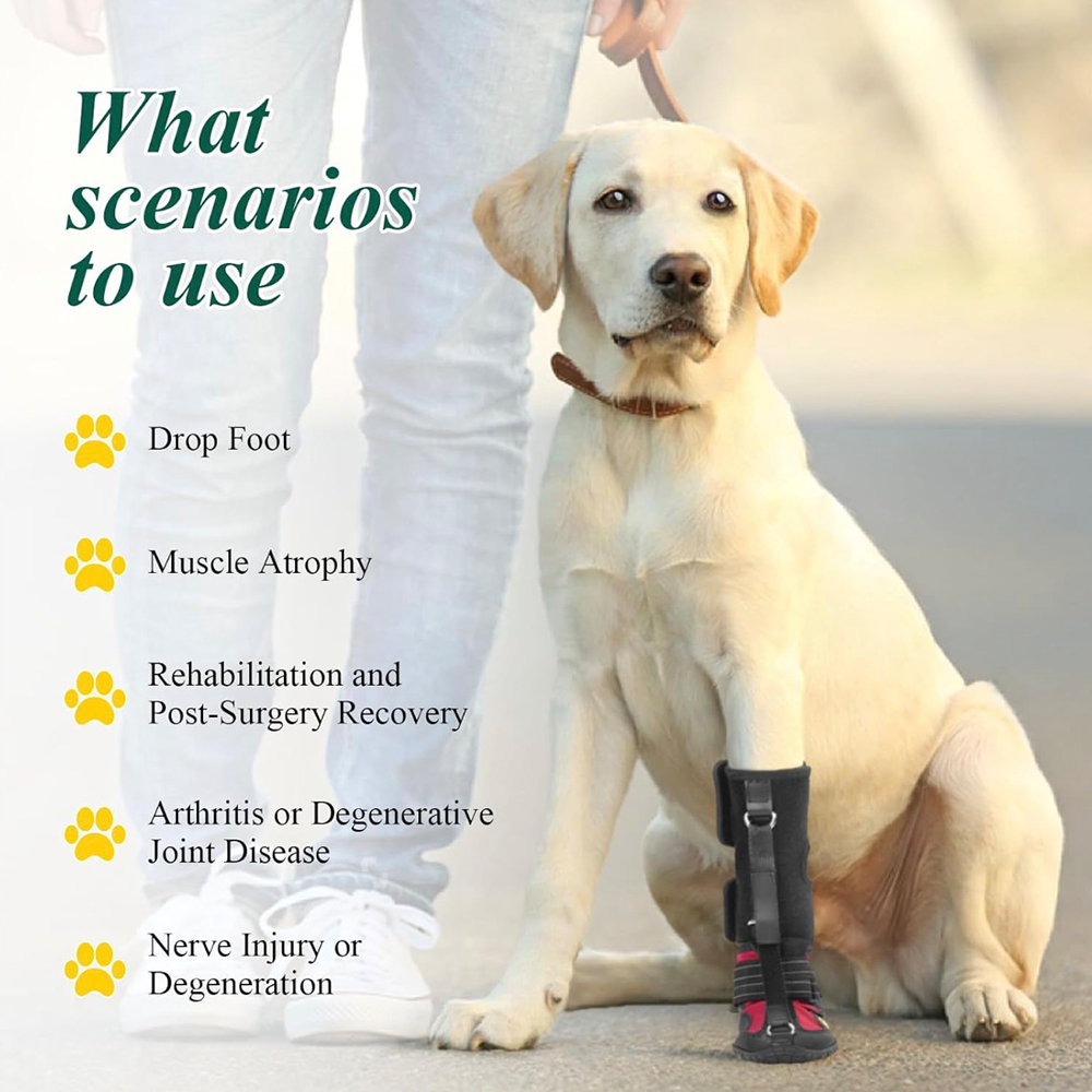 Adjustable Dog Knuckling Brace