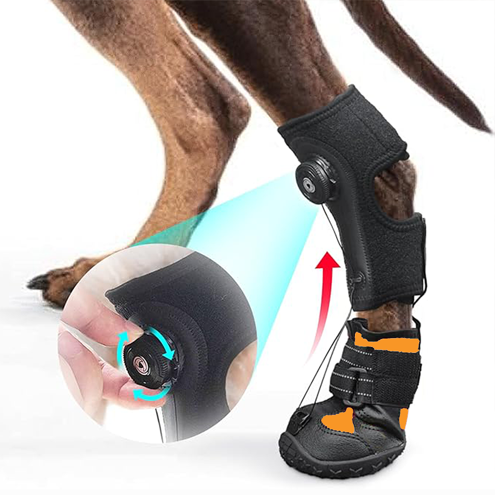 Adjustable Dog Knuckling Brace