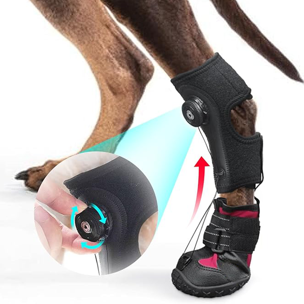 Adjustable Dog Knuckling Brace