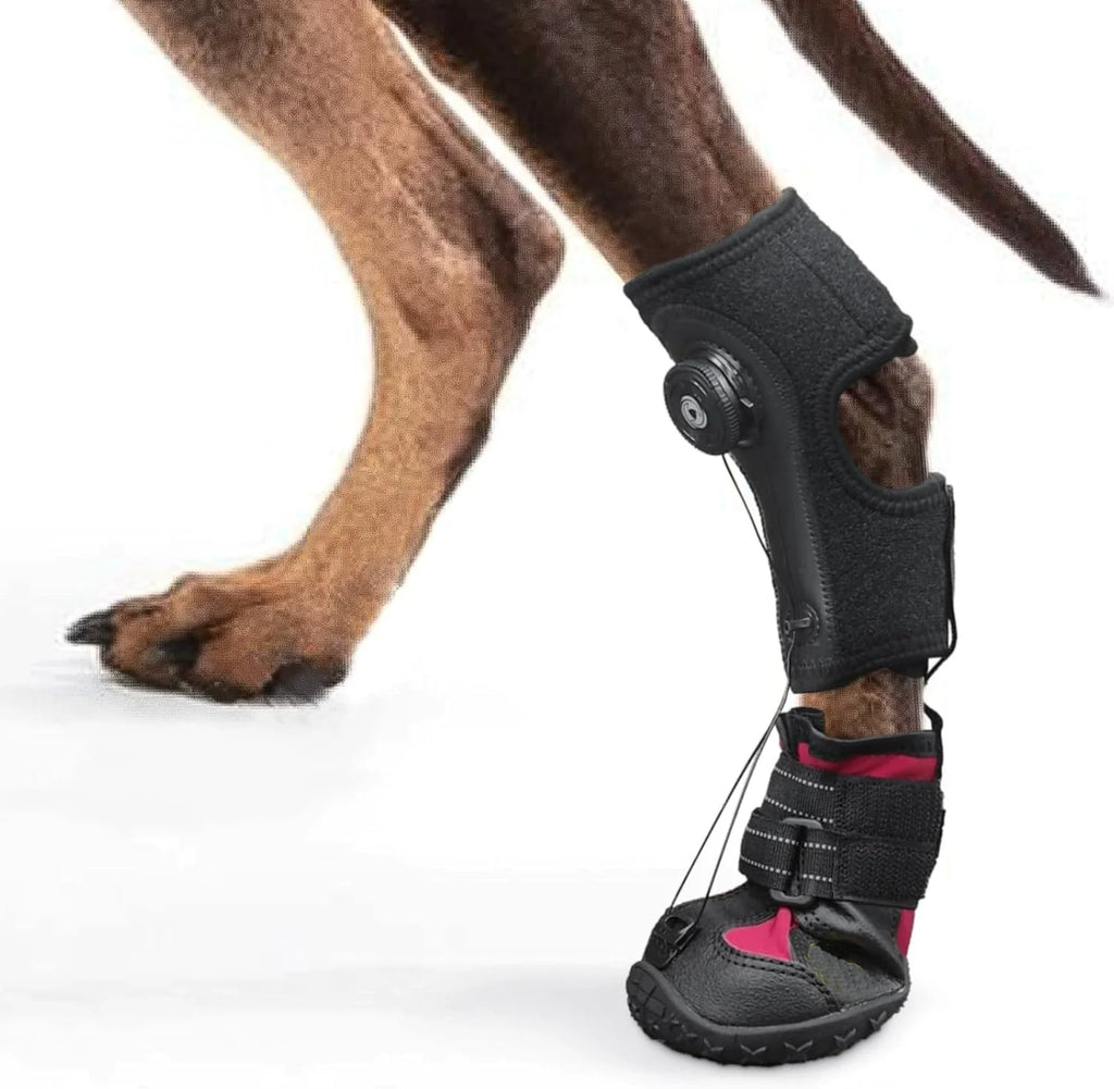 Adjustable Dog Knuckling Brace