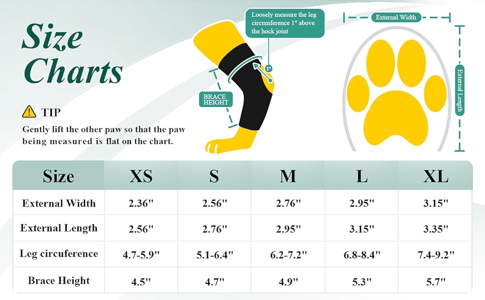 Detailed Size Chart