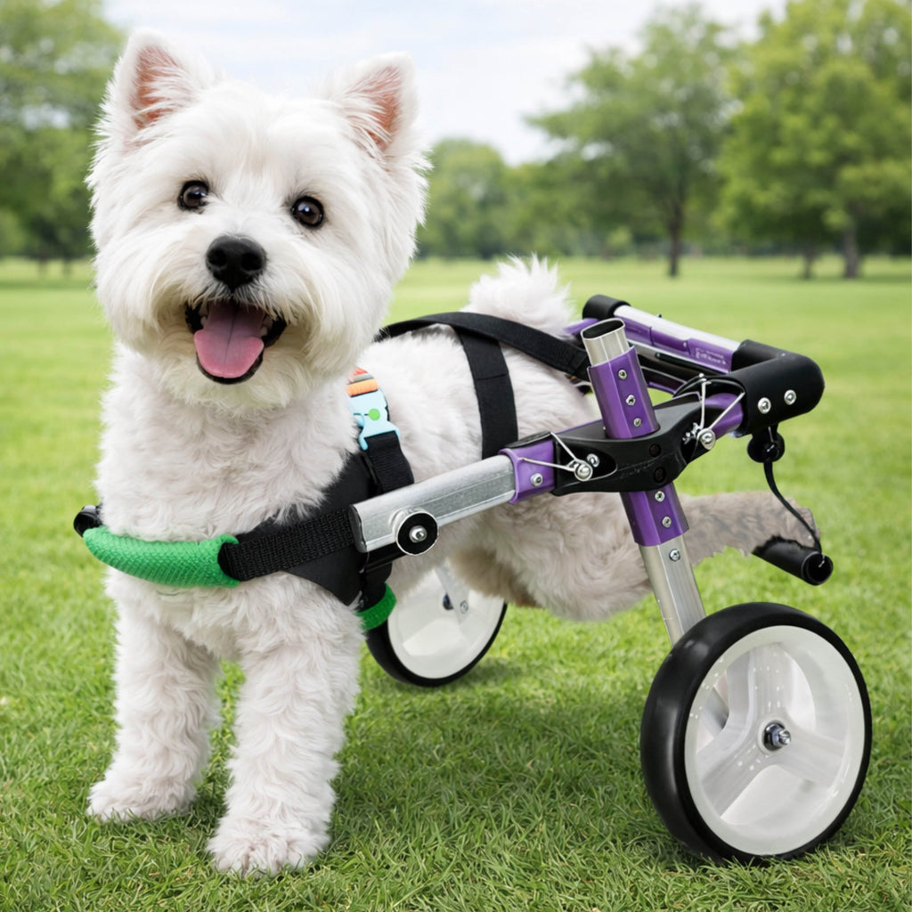 Adjustable 2-Wheel Dog Wheelchair for Rear Leg Disability