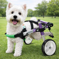 Adjustable 2-Wheel Dog Wheelchair for Rear Leg Disability
