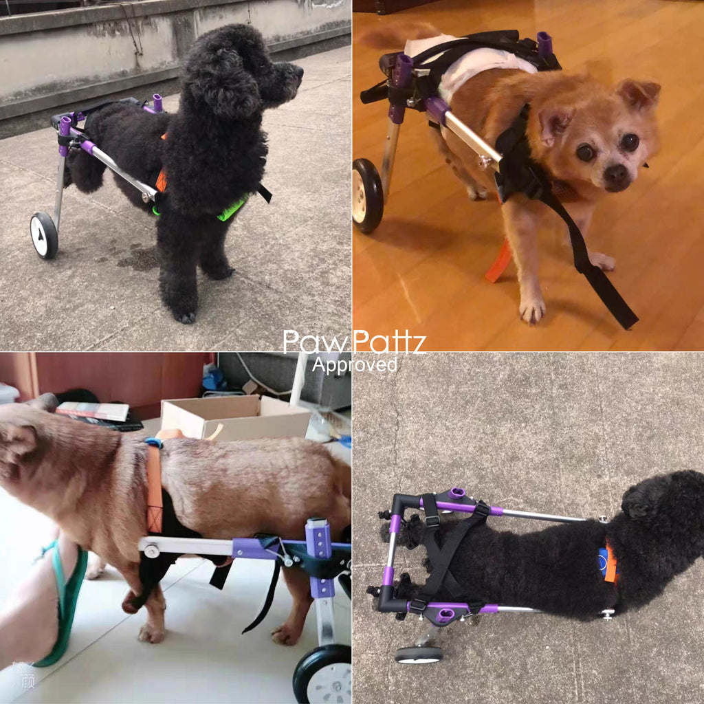 Adjustable 2-Wheel Dog Wheelchair for Rear Leg Disability