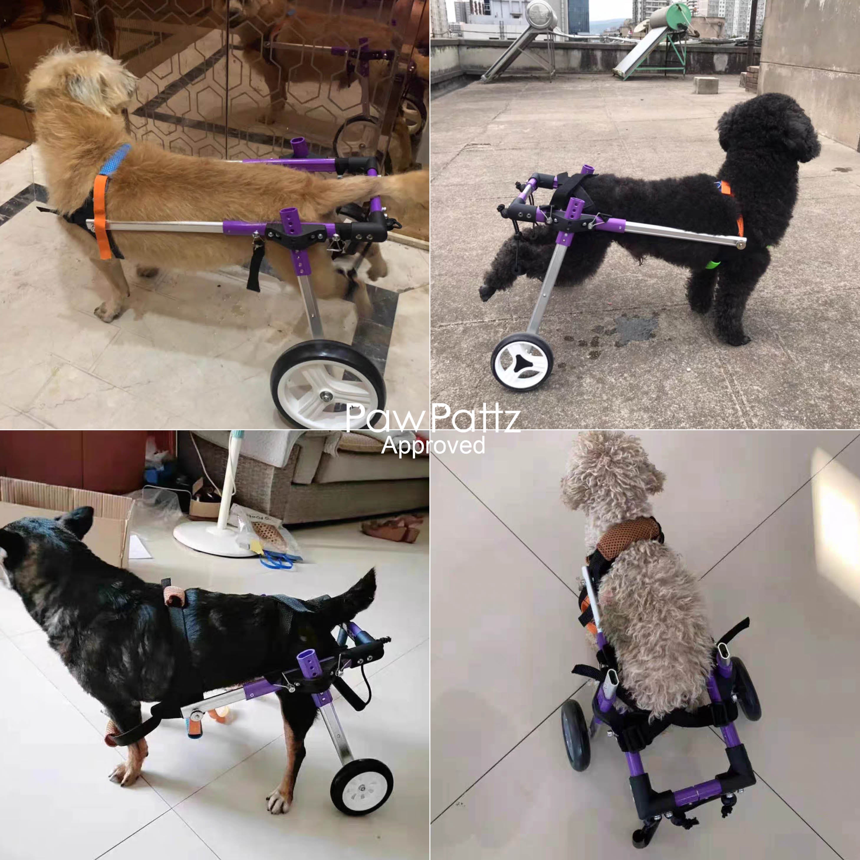 Adjustable 2-Wheel Dog Wheelchair for Rear Leg Disability