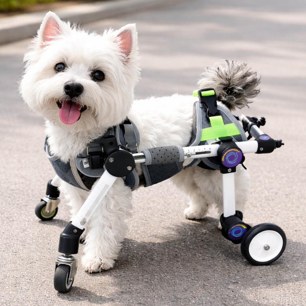 Adjustable 4-Wheel Dog Wheelchair for Rear Leg Disability