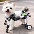 Adjustable 4-Wheel Dog Wheelchair for Rear Leg Disability
