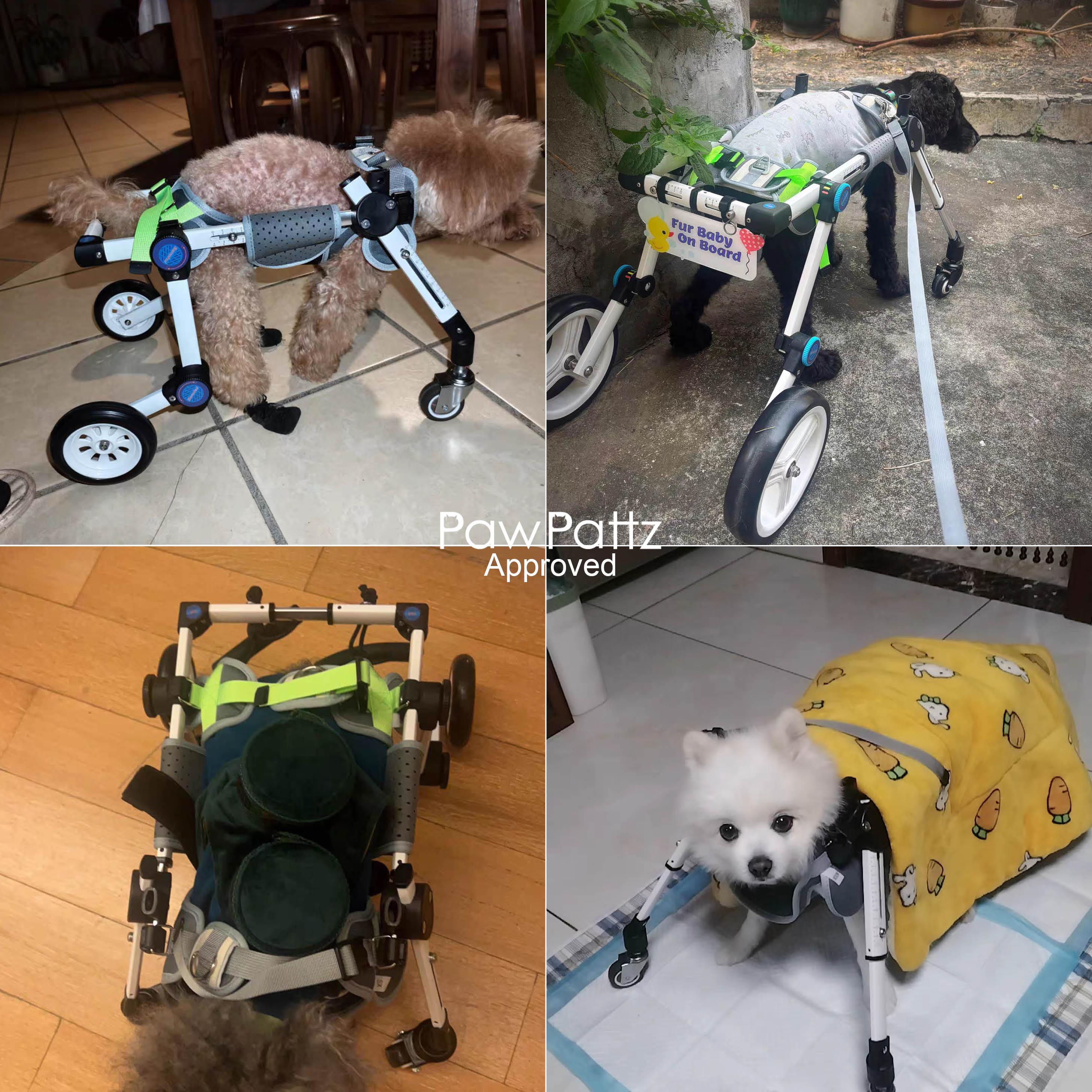 Adjustable 4-Wheel Dog Wheelchair for Rear Leg Disability
