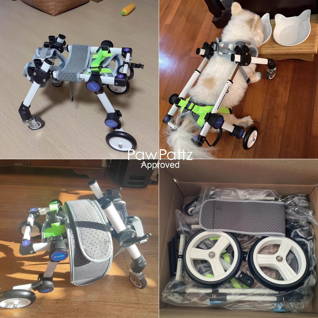 Adjustable 4-Wheel Dog Wheelchair for Rear Leg Disability