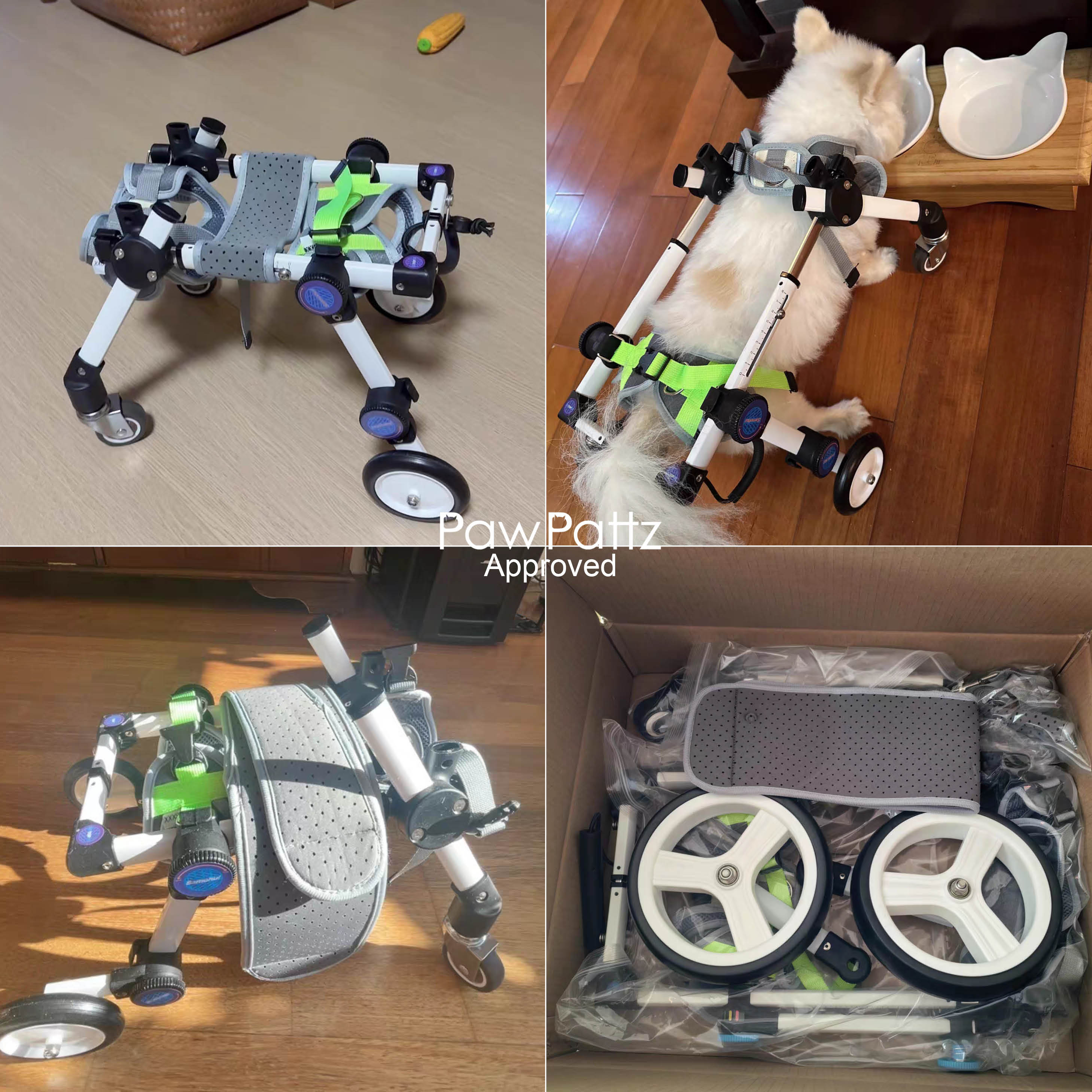 Adjustable 4-Wheel Dog Wheelchair for Rear Leg Disability