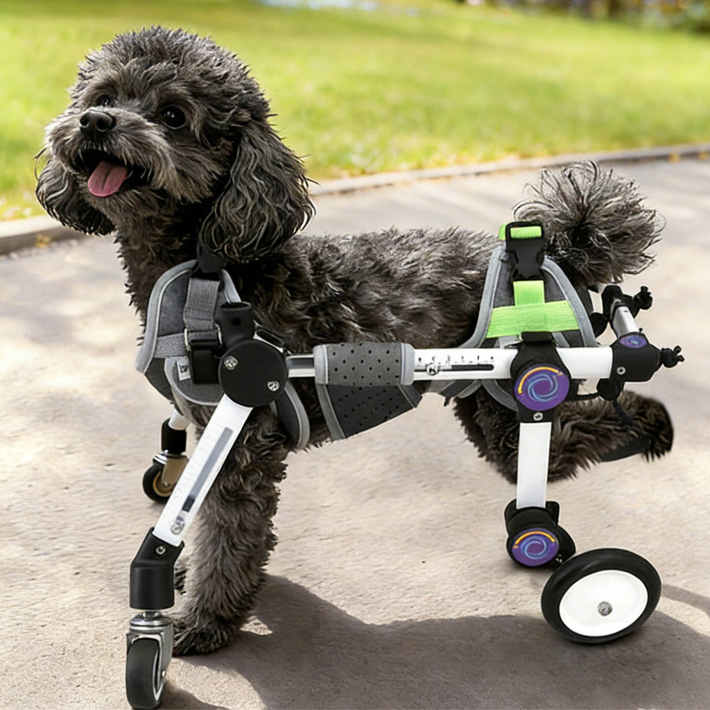 Adjustable 4-Wheel Dog Wheelchair for Rear Leg Disability