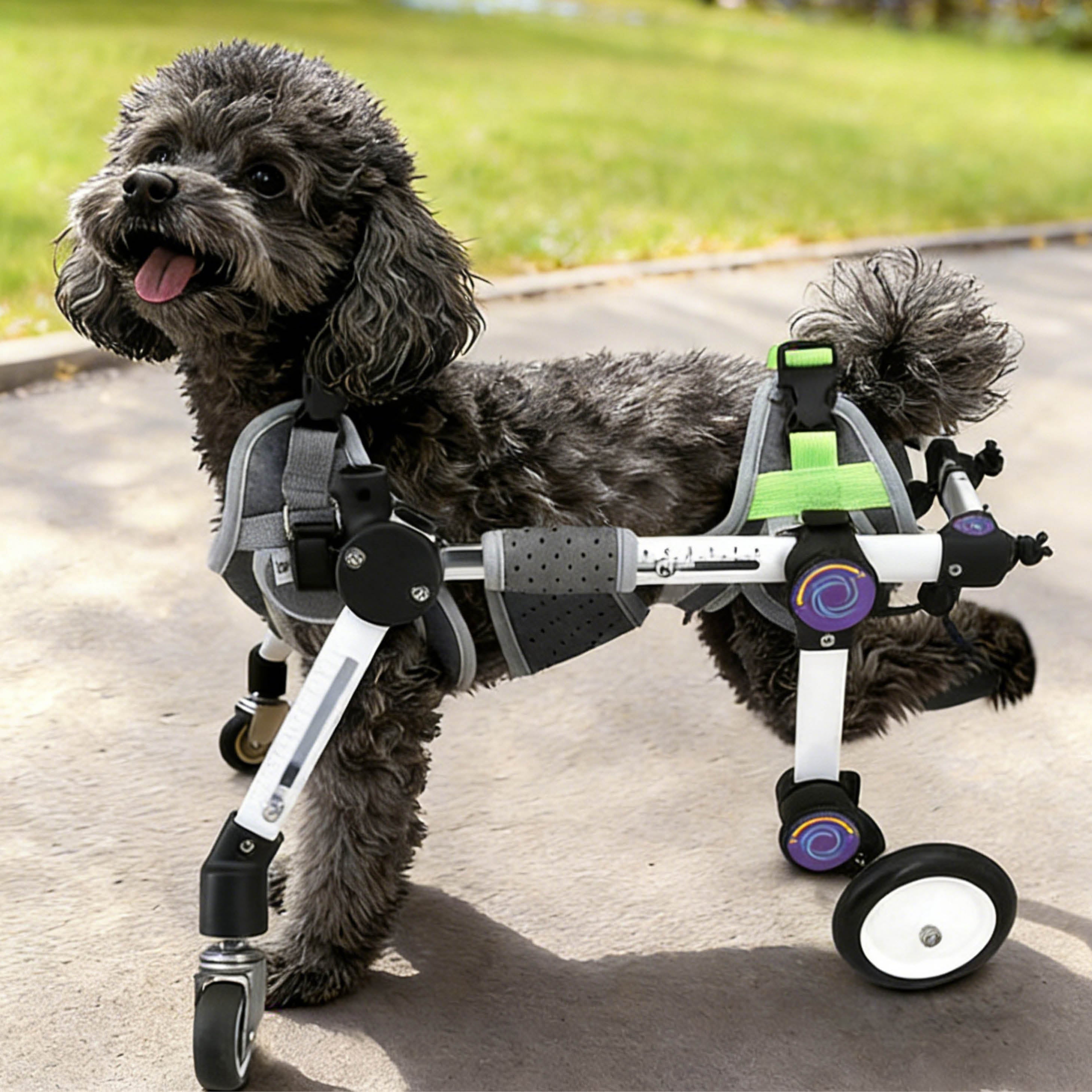 Adjustable 4-Wheel Dog Wheelchair for Rear Leg Disability